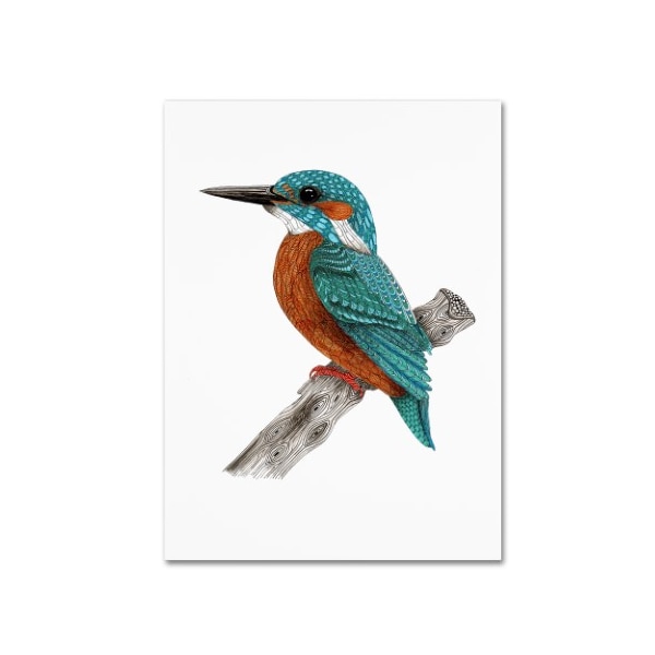 Trademark Fine Art The Tangled Peacock 'Mr. Kingfisher' Canvas Art